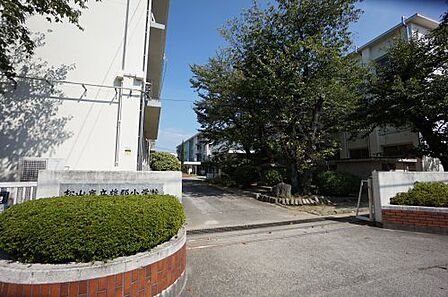 【小学校】松山市立雄郡小学校まで814m
