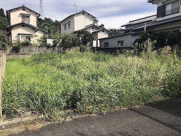 外観：338000044052