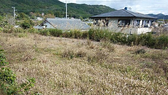 隣の畑です