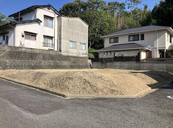 外観：337000031597