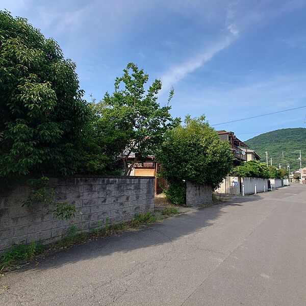 外観：337000026397