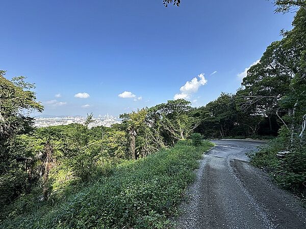 外観：337000029790