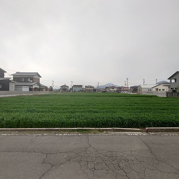 外観：337000034426