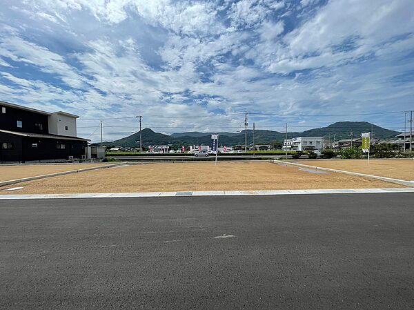 10号地現地写真（2023年8月撮影）