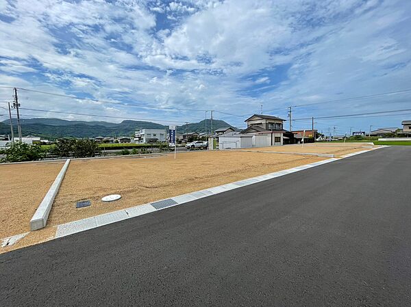 7号地現地写真（2023年8月撮影）