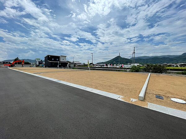 8号地現地写真（2023年8月撮影）