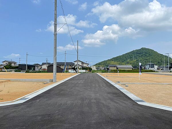 前面道路（北側）
