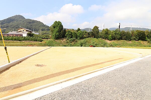 17号地現地写真