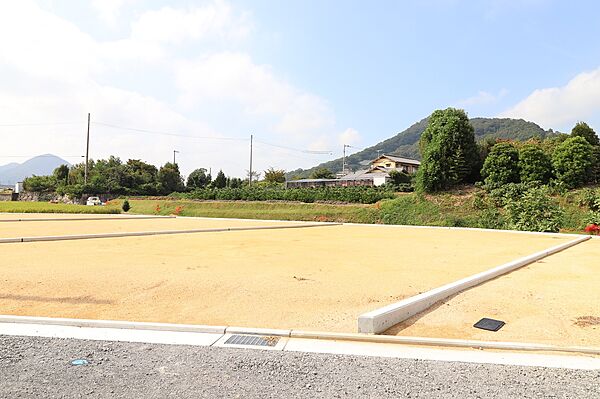 17号地現地写真