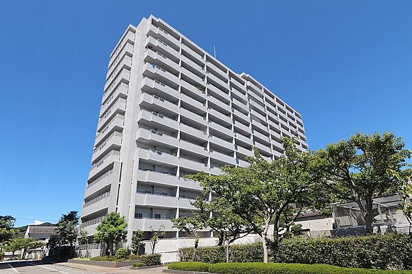 外観：338000048252