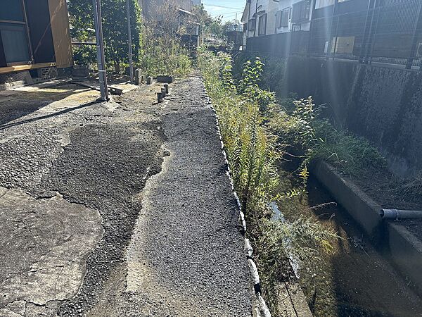 外観：339000050230