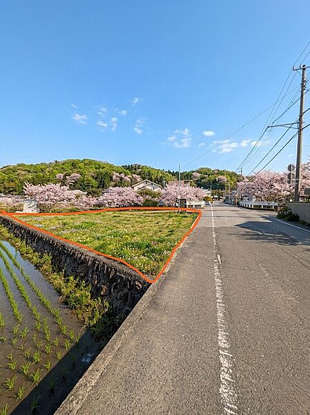 外観：339000054319