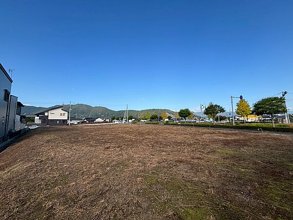 外観：339000051401