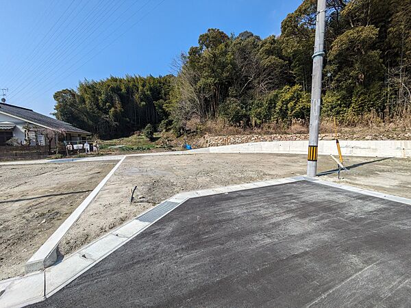 外観：339000052579