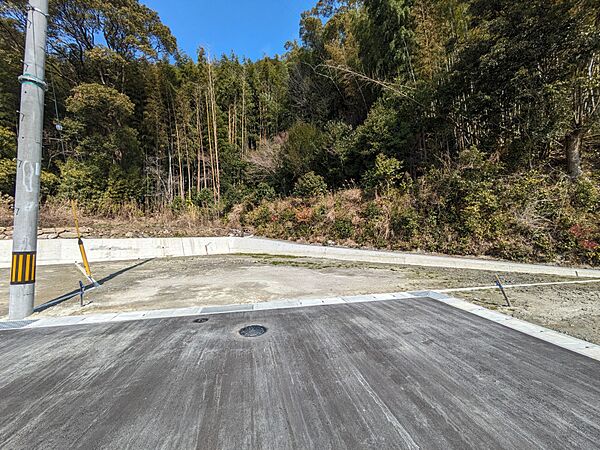 外観：339000052584