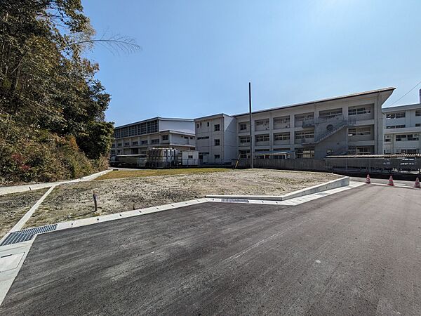 外観：339000052585