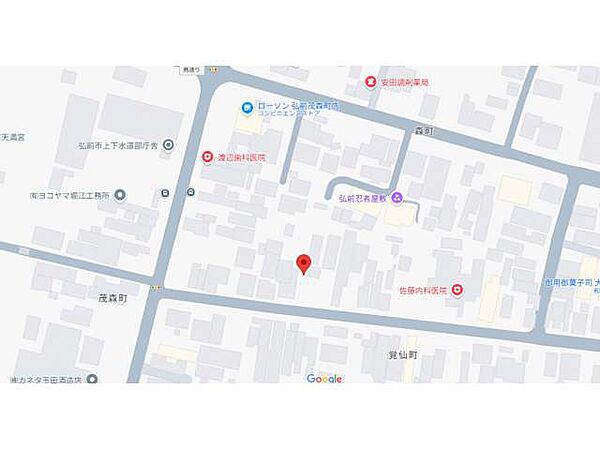 外観：302000006594