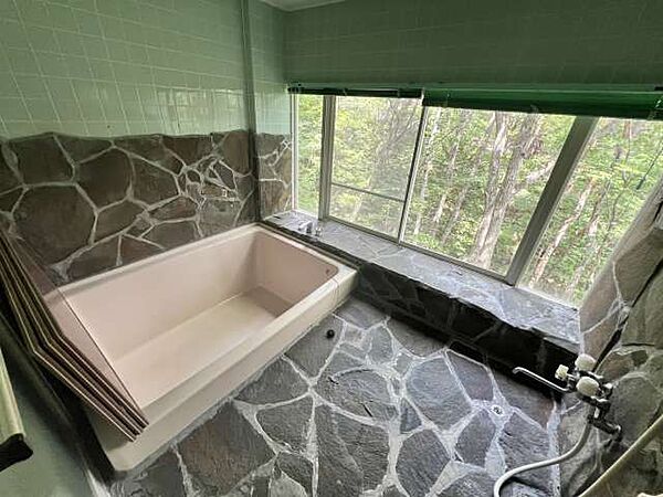 detached 福島県安達郡大玉村玉井(その他)
地図を見る