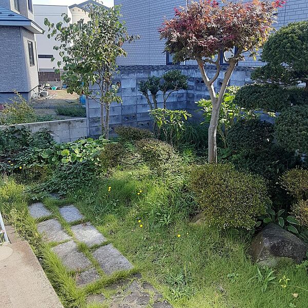 庭