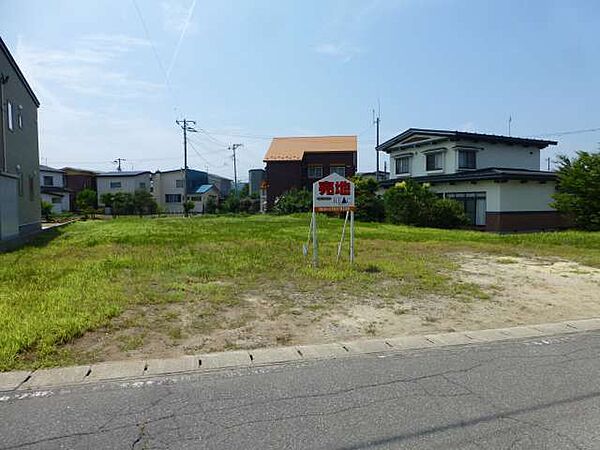 外観：302000005219