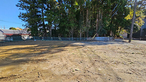 東側の木々を中庭や庭園デザインの一部として取り入れては如何でしょうか。