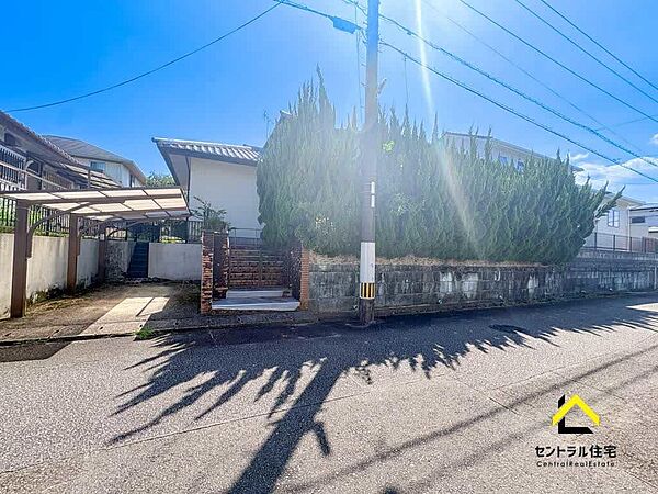 現地写真