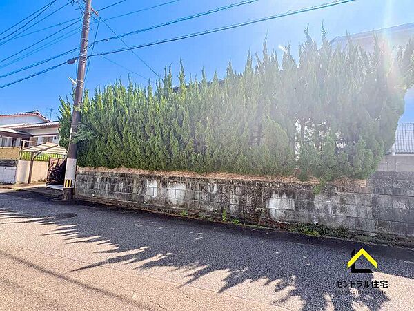 現地写真