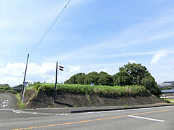 宮崎県東諸県郡綾町大字入野4071-1他