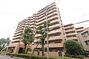  8階 築34年9ヶ月の賃貸物件