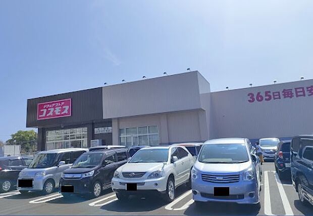 ドラッグコスモス城ケ崎店
