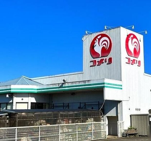 コメリハード&グリーン国富店(距離782m/徒歩10分)
