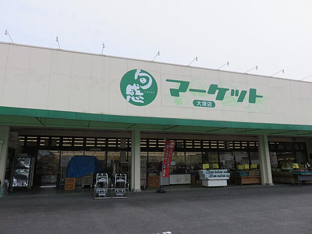 旬感マーケット大塚店(距離1047m/徒歩14分)
