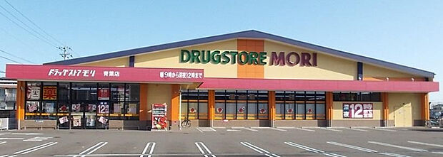 ドラッグストアモリ青葉店(距離667m/徒歩9分)