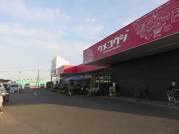 ウメコウジ佐土原本店(距離947m/徒歩12分)