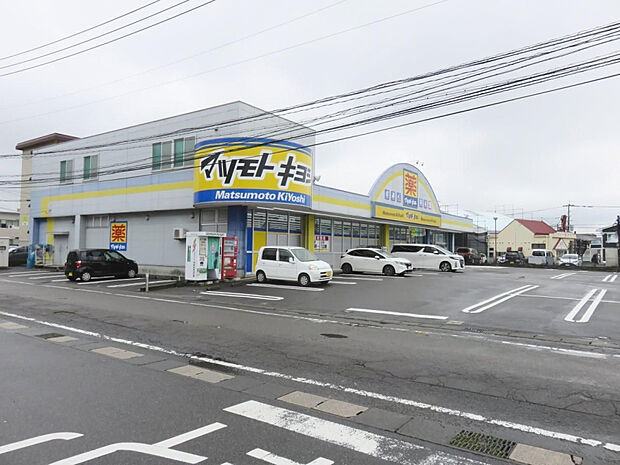 マツモトキヨシ柳丸店(距離300m/徒歩4分)