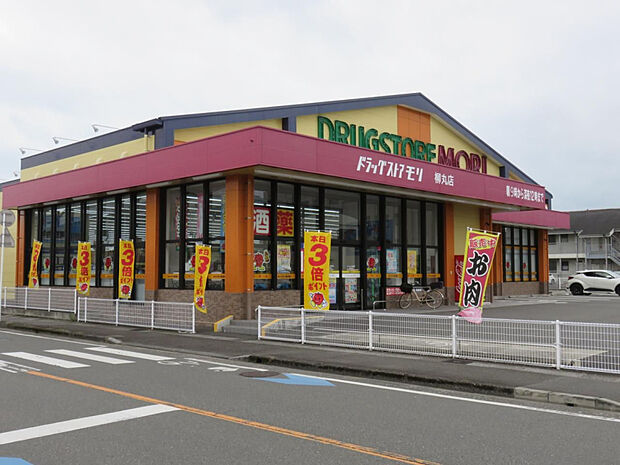 ドラッグストアモリ柳丸店(距離371m/徒歩5分)