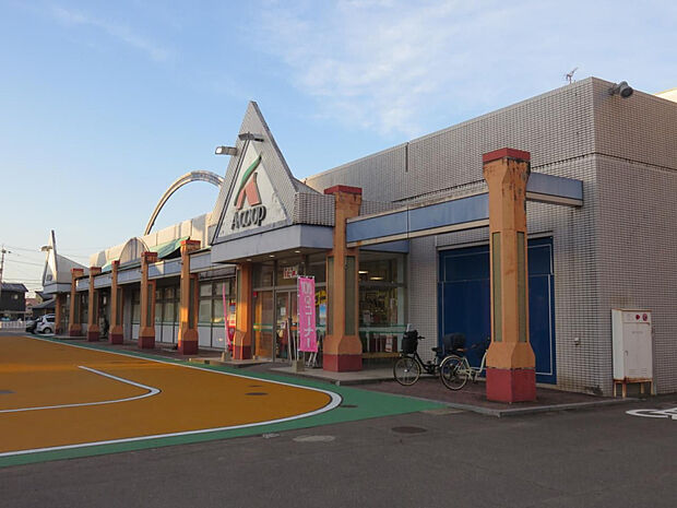Aコープ佐土原店(距離869m/徒歩11分)