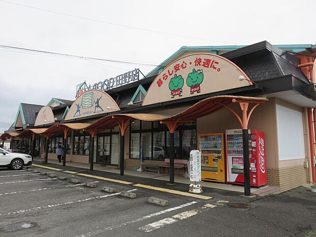 Aコープ田野店(距離980m/徒歩13分)