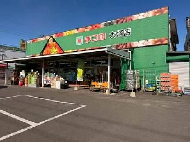 まつの大塚店(距離253m/徒歩4分)