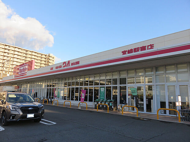 マックスバリュ宮崎駅東店(距離348m/徒歩5分)