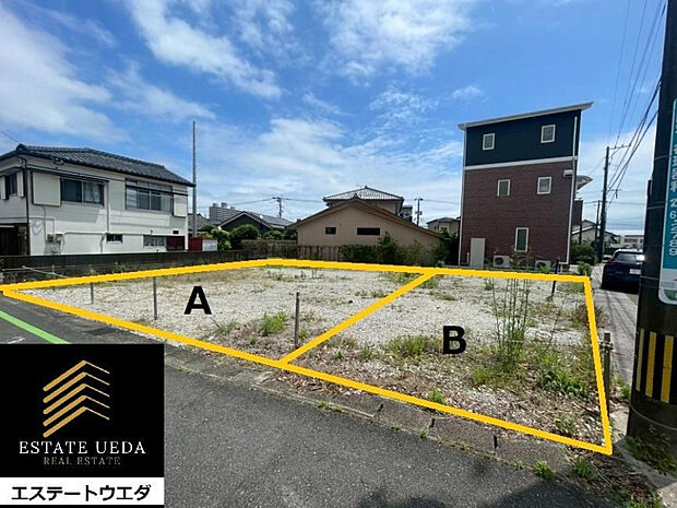 現地写真