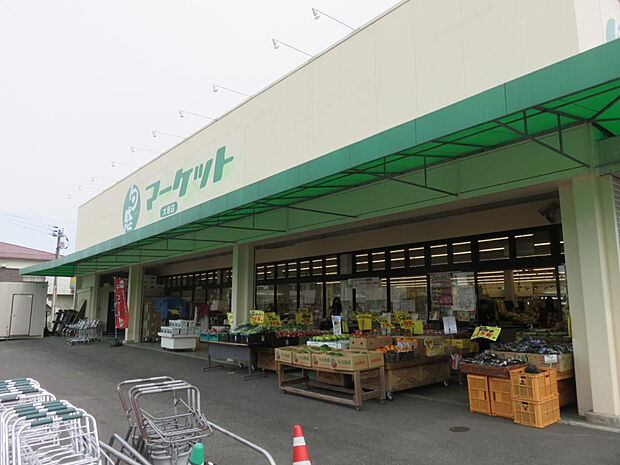 旬感マーケット大塚店(距離666m/徒歩9分)
