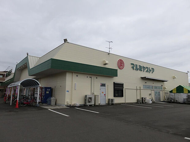 マルミヤストア住吉店(距離782m/徒歩10分)
