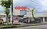 コープみやざき大塚店(距離541m/徒歩7分)