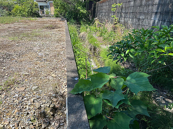 を拡大表示