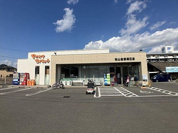 松山生協 堀江店 500m