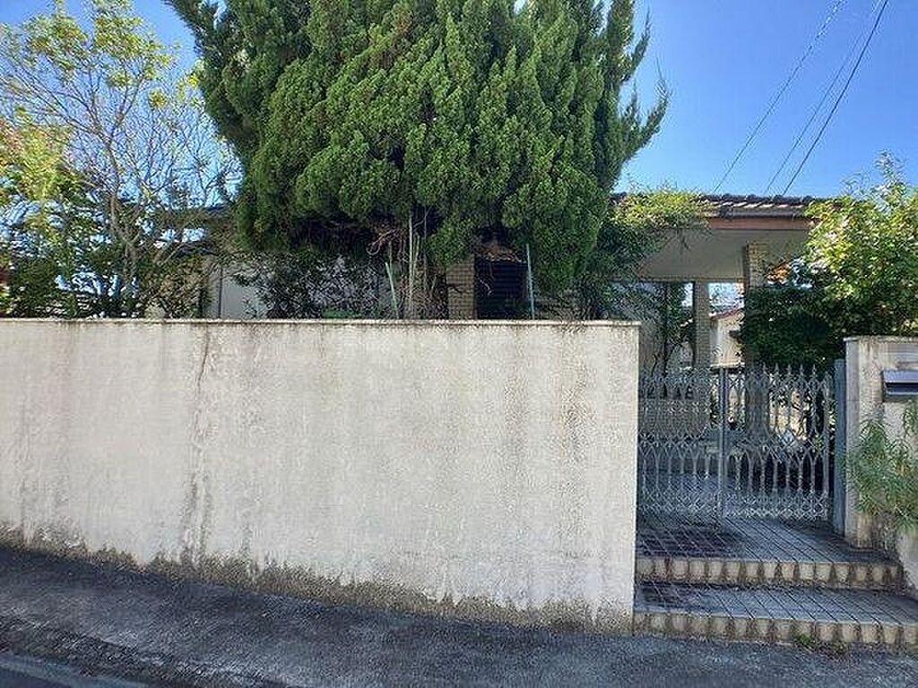 Image 41