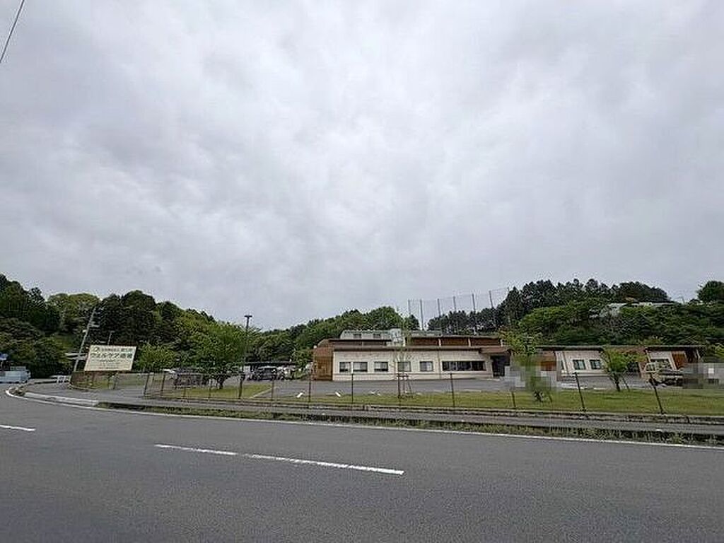 Image 30