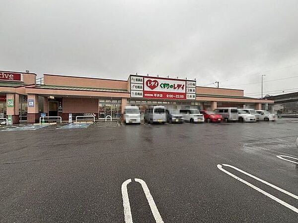 くすりのレデイ 平井店 1339m