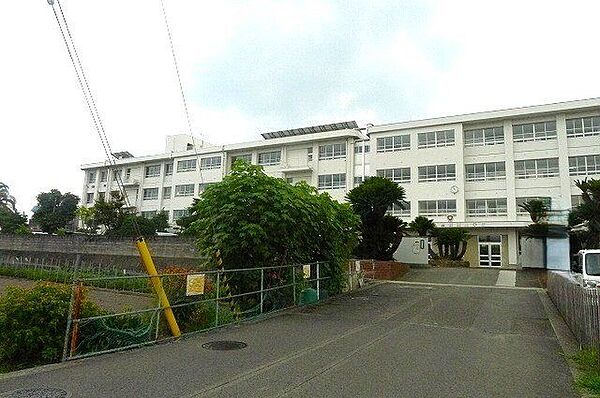 松山市立石井東小学校 1441m
